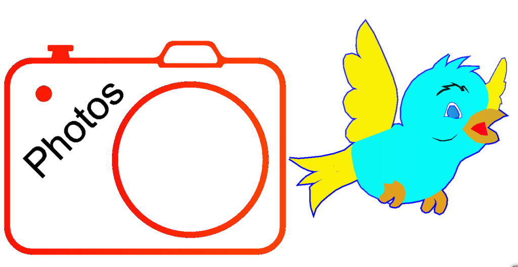 Oiseaux