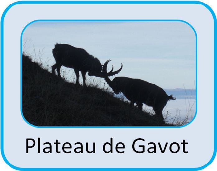 Plateau de Gavot